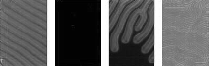 Graphical abstract: Photoswitching in chiral nematic liquid crystals: interaction-selective helical twist inversion by a single chiral dopant