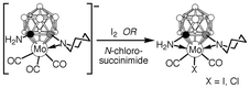 Graphical abstract: Synthesis and reactivity of icosahedral molybdenum-monocarbaborane complexes containing one or two intramolecular amino bridges