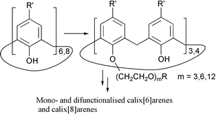 Graphical abstract: The selective functionalisation and difunctionalisation of p-substituted calix[6]arene and calix[8]arenes using hydrophilic moieties