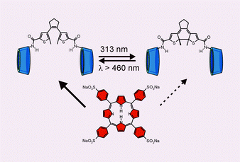 Graphical abstract: A dithienylethene-tethered β-cyclodextrin dimer as a photoswitchable host