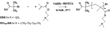 Graphical abstract: Solvent-free synthesis and purification of poly[2-(dimethylamino)ethyl methacrylate] by atom transfer radical polymerization