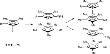 Graphical abstract: Synthesis of 2-silyl substituted phospharuthenocenes and an elaboration into the first phospharuthenocene-phosphine