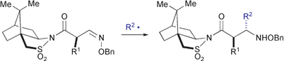 Graphical abstract: Radical addition to oxime ethers for asymmetric synthesis of β-amino acid derivatives