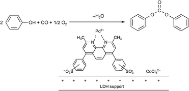 Graphical abstract: A new heterogeneous catalyst for the oxidative carbonylation of phenol to diphenyl carbonate