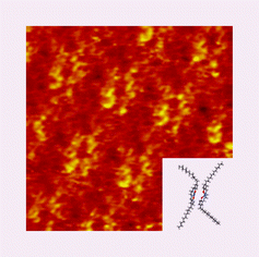 Graphical abstract: Formation and observation of dimers of a metal complex with long alkyl side chains aligned on a graphite surface