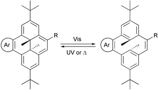 Graphical abstract: Mechanistic studies on the photochromism of [e]-annelated dimethyldihydropyrenes