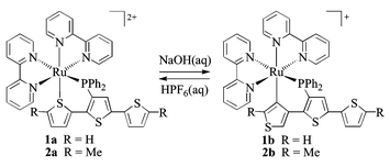 Graphical abstract: Switchable thiophene coordination in Ru(ii) bipyridyl phosphinoterthiophene complexes