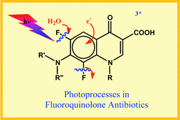 Graphical abstract: Photophysics and photochemistry of fluoroquinolones