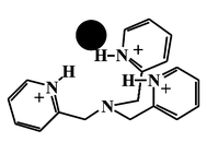 Graphical abstract: Receptor versatility of tris(pyridin-1-ium-2-ylmethyl)amine in anion binding through hydrogen bonding