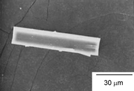 Graphical abstract: Influences of aliphatic alcohols on crystallization of large mordenite crystals and their sorption properties