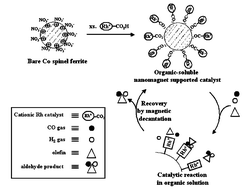 Graphical abstract: Magnetic nanoparticles as a catalyst vehicle for simple and easy recycling