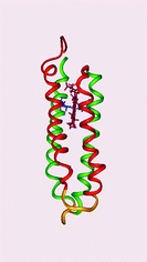 Graphical abstract: Engineering redox functions in a nucleic acid binding protein