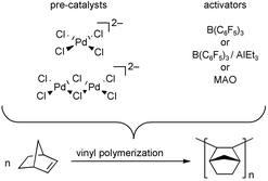 Graphical abstract: Palladium(ii) salts containing [PdCl4]2− and [Pd2Cl6]2− ions as pre-catalysts for the vinyl-polymerization of norbornene—evidence for the in situ formation of PdCl2 as the active species