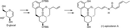 Graphical abstract: A formal total synthesis of (+)-apicularen A: base-induced conversion of apicularen-derived intermediates into salicylihalamide-like products