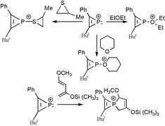 Graphical abstract: Gas phase chemistry of the 2-tert-butyl-3-phenylphosphirenylium cation: novel onium ions by nucleophilic attack at phosphorus and de novo P-spiro bicyclic phosphonium ions via [4 + 2+] cycloaddition with dienes