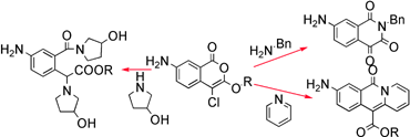 Graphical abstract: Reactivity studies of 3-alkoxy-7-amino-4-chloroisocoumarins (β-amyloid peptide inhibitors) versus different classes of amines