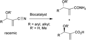 Graphical abstract: Nitrile biotransformations for the synthesis of enantiomerically enriched Baylis–Hillman adducts