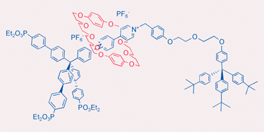 Graphical abstract: Synthesis of tripodal [2]rotaxanes: high concentration principle