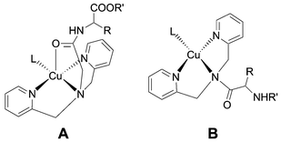 Graphical abstract: Probing the aqueous copper(ii) coordination chemistry of bifunctional chelating amino acid ligands with a luminescent ruthenium chromophore