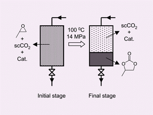 Graphical abstract: New procedure for recycling homogeneous catalyst: propylene carbonate synthesis under supercritical CO2 conditions