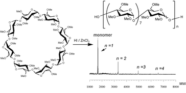 Graphical abstract: Preparation of a unique glucan with large intervals in molecular weight distribution. Controlled ring-opening polymerization of O-permethylcyclodextrin