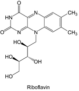 Graphical abstract: Biosynthesis of flavocoenzymes