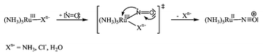 Graphical abstract: The unusually fast reactions between ruthenium(iii)-ammine complexes and NO revisited