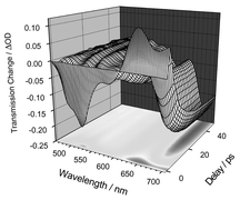 Graphical abstract: Energy transfer within perylene-terrylene dendrimers evidenced by polychromatic transient absorption measurements