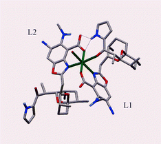 Graphical abstract: Unusual structure of the dimeric 4-bromocalcimycin–Zn2+ complex