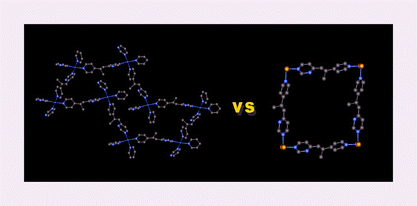 Graphical abstract: Coordination polymers based on square planar Co(ii) node and linear spacer: solvent-dependent pseudo-polymorphism and an unprecedented interpenetrating structure containing both 2D and 3D topological isomers