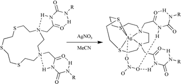 Graphical abstract: Anion effects in selective bifunctional metal salt extractants based on aza-thioether macrocycles: co-operative cation–anion binding?