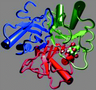 Graphical abstract: QM/MM calculations of kinetic isotope effects in the chorismate mutase active site