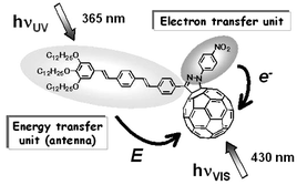 Graphical abstract: From metal complexes to fullerene arrays: exploring the exciting world of supramolecular photochemistry fifteen years after its birth