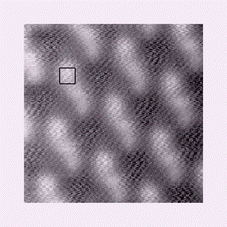 Graphical abstract: Evidence for spatially-coherent trans-molecular electron tunnelling through two-dimensional arrays of Photosystem II core complexes