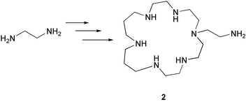 Graphical abstract: Preparation of hexaaza and heptaaza macrocycles functionalized with a single aminoalkyl pendant arm