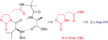 Graphical abstract: Introduction of 4(S)-oxazolidineacetic acid, 2-oxo (D-Oxac) motif in a polypeptide chain: synthesis and conformational analysis