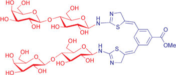 Graphical abstract: Rigidified multivalent lactose molecules and their interactions with mammalian galectins: a route to selective inhibitors