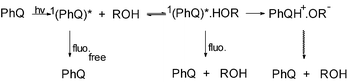 Graphical abstract: Excited state properties of an aza-analogue of distyrylbenzene. Solvent polarity and hydrogen-bonding effects