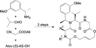 Graphical abstract: Via Ugi reactions to conformationally fixed cyclic peptides