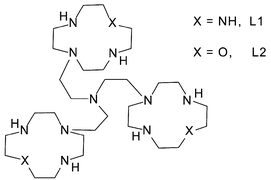 Graphical abstract: Proton and Cu(ii) binding to tren-based tris-macrocycles. Affinity towards nucleic acids and nuclease activity