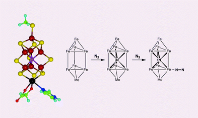 Graphical abstract: The consequences of an interstitial N atom in the FeMo cofactor of nitrogenase