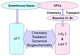 Graphical abstract: Changes in biologically active ultraviolet radiation reaching the Earth's surface