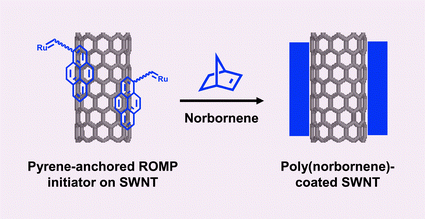 Graphical abstract: Ring opening metathesis polymerization on non-covalently functionalized single-walled carbon nanotubes