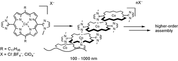 Graphical abstract: Long rod-like array of bis(imidazolyl)porphyrinatocobalt(iii) by successive complementary coordination