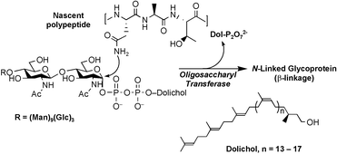 Graphical abstract: A chemist’s approach to biochemical complexity