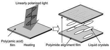 Graphical abstract: Photoinduced alignment of liquid crystals parallel to the polarization direction of linearly polarized light