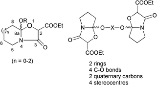 Graphical abstract: Rh2(OAc)4-catalyzed reactions of α-diazoimides: a simple and novel synthesis of mono- and bis(2,3-fused perhydrooxazol-4-one) systems