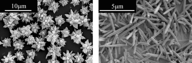 Graphical abstract: Growth of well-defined ZnO microparticles by hydroxide ion hydrolysis of zinc salts