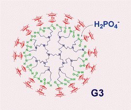 Graphical abstract: Redox-robust pentamethylamidoferrocenyl metallodendrimers that cleanly and selectively recognize the H2PO4− anion
