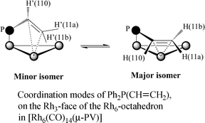 Graphical abstract: The structure and dynamic behaviour of disubstituted derivatives of [Rh6(CO)16] containing heterobidentate bridging phosphine ligands